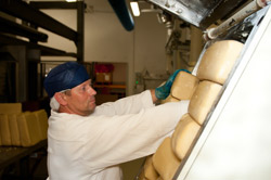 Lübecker Marzipan in der Produktion Lübecker Marzipan in der Produktion
